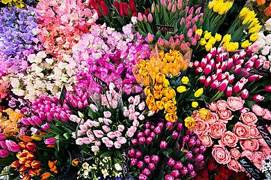 《鬼灭之刃：火神血风谭》确定推出亚洲·欧美版 世嘉负责发行