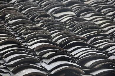 P社生活模拟游戏《你的人生》新演示公开