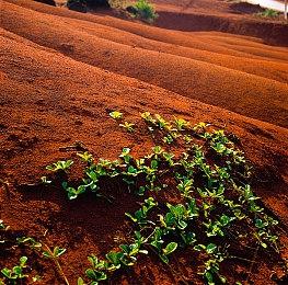 《探灵直播2》Steam页面上线,预定2023年推出